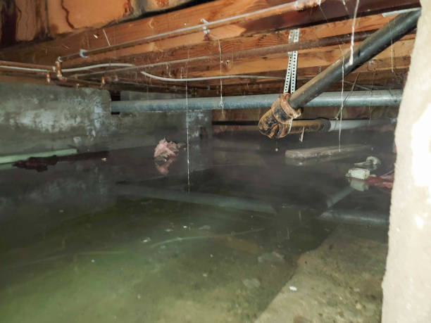 Best Water Damage Insurance Claim Assistance in USA